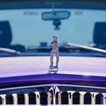 Huckleberry Hood Ornament